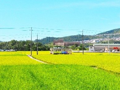 南国市のイメージ